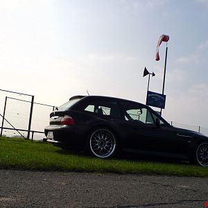 Das Schwarze auf dem Grünen