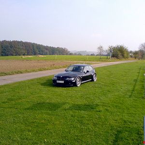 Das Schwarze auf dem Grünen