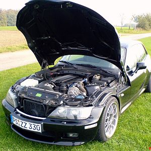 Das Schwarze auf dem Grünen