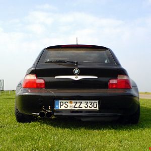 Das Schwarze auf dem Grünen