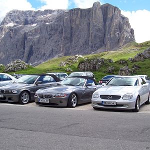 Zetti in Südtirol 2