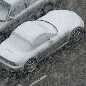 winter