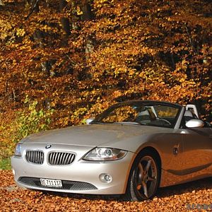 Z4 im Herbst