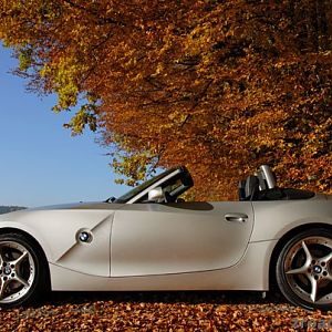 Z4 im Herbst