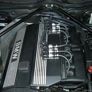 CIMG3036