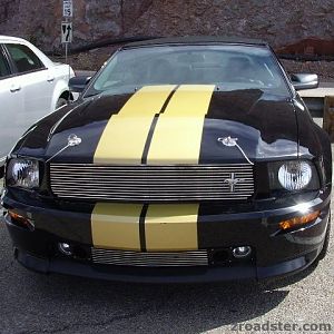 shelbi gt