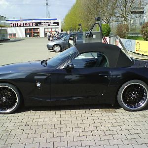 Black_Tiger_011