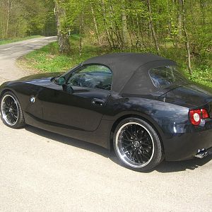 Black_Tiger_018