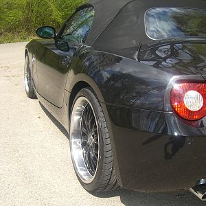 Black_Tiger_020