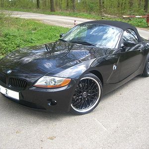 Black_Tiger_021