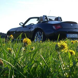 Z4