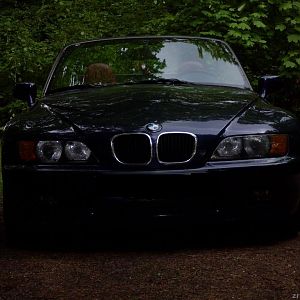 MZElm4