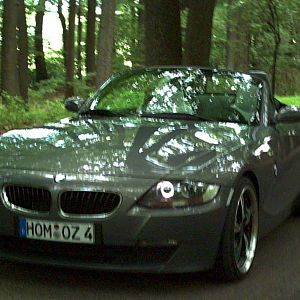 Lichtspiele im Wald