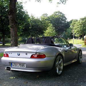 Zettie im Hartz