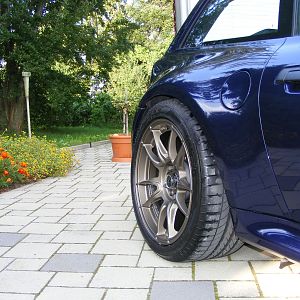 Motec Nitro bronze
