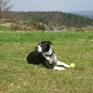 Auf Fotosession im Taunus ...