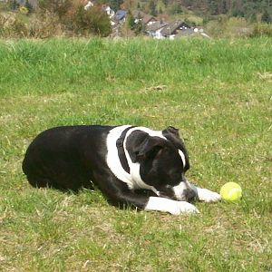 Bild1_061
