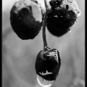 art in black&white