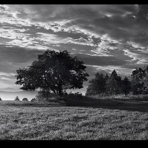 art in black&white