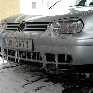 T-CAT mit grimmigem Blick
