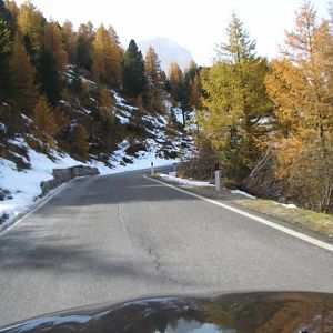 Appetitanreger für 2009