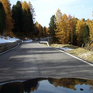 Appetitanreger für 2009