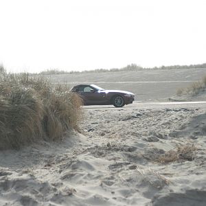 Zex On The Beach