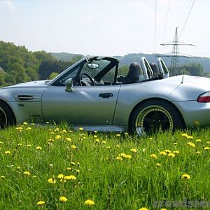 Endlich Frühling