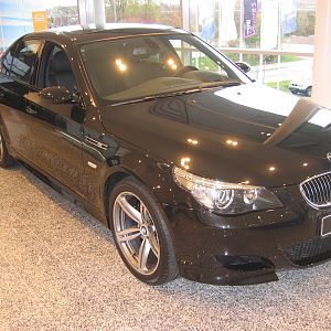 507 schwarze Pferde