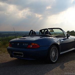 z319