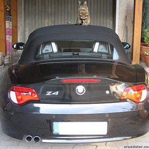 Z4 Rennkatze