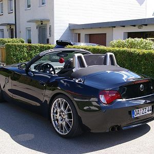 Zetti im Juni