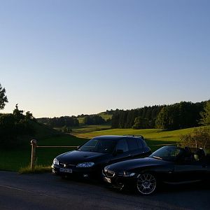 Zetti im Juni