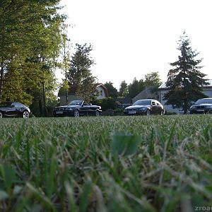 Family Come Together