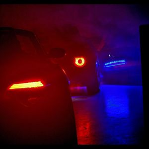 Zs im Nebel