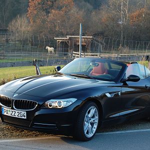 Schönen Novembertag ausgenutzt II