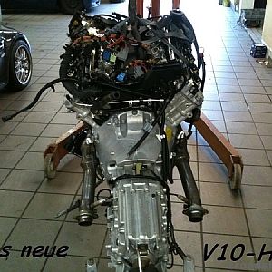 Z4 M Umbau V10 - Das Herz