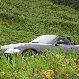 zroadster_com_fotocontest_077
