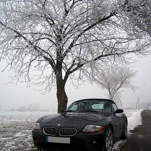 zroadster_com_fotocontest_084