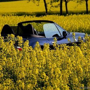 zroadster_com_fotocontest_099