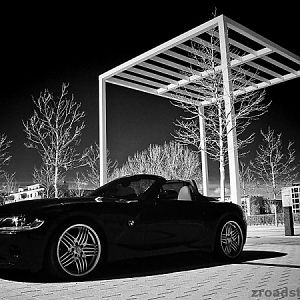 zroadster_com_fotocontest_160