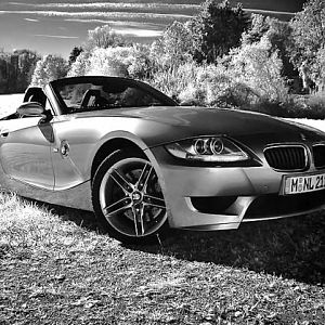 zroadster_com_fotocontest_167
