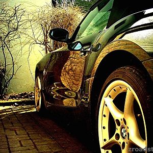 zroadster_com_fotocontest_175