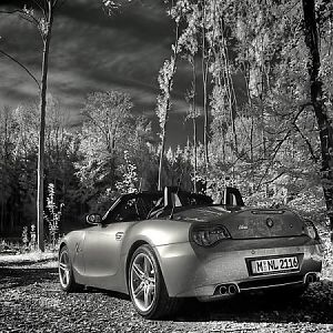 zroadster_com_fotocontest_219