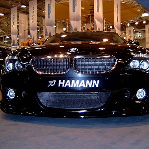 Hamann6er