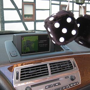 black fuzzy dice