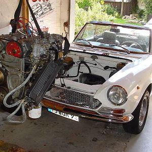 MrobsterDSC01118