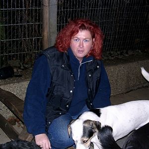 Tiere in Not 2004