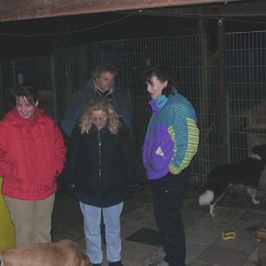 Tiere in Not 2004