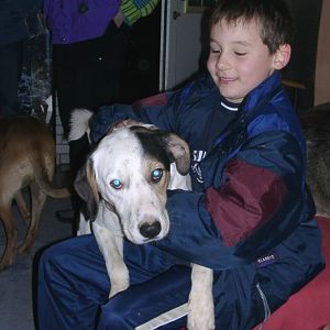 Tiere in Not 2004
